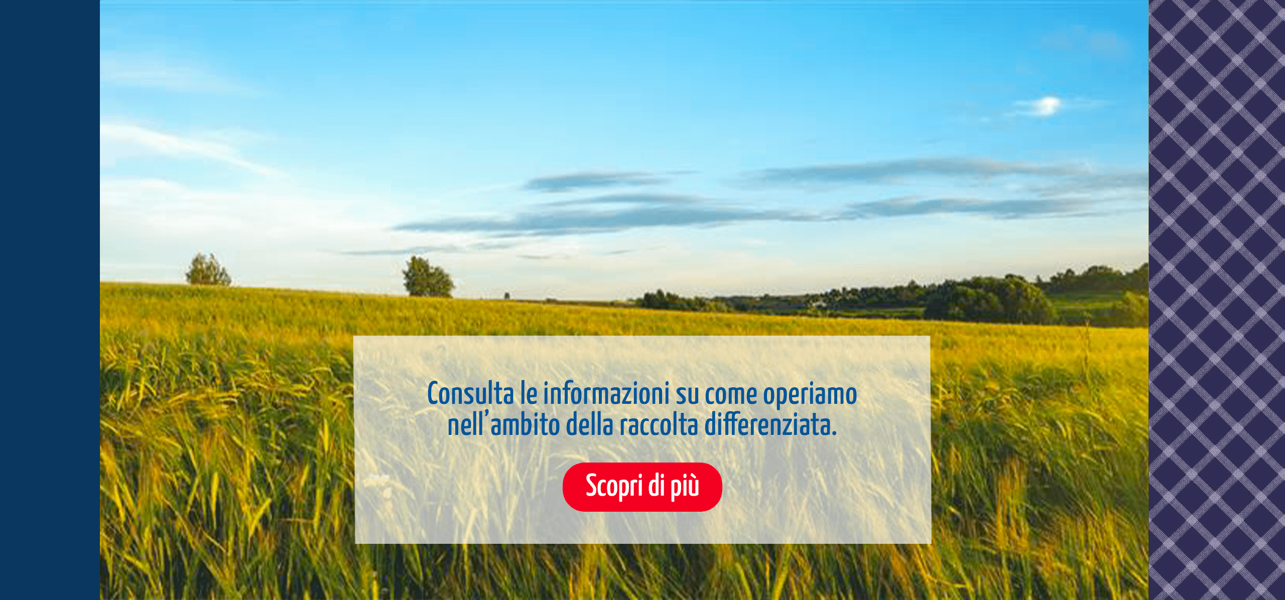 Raccolta differenziata