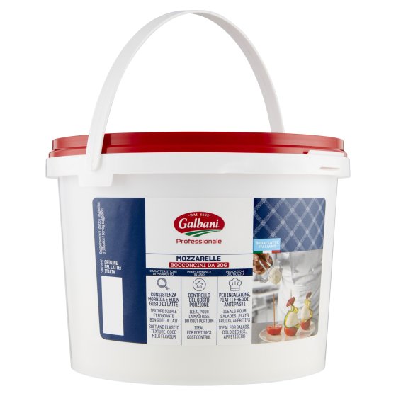 Galbani Professionale Mozzarelle 1 Kg