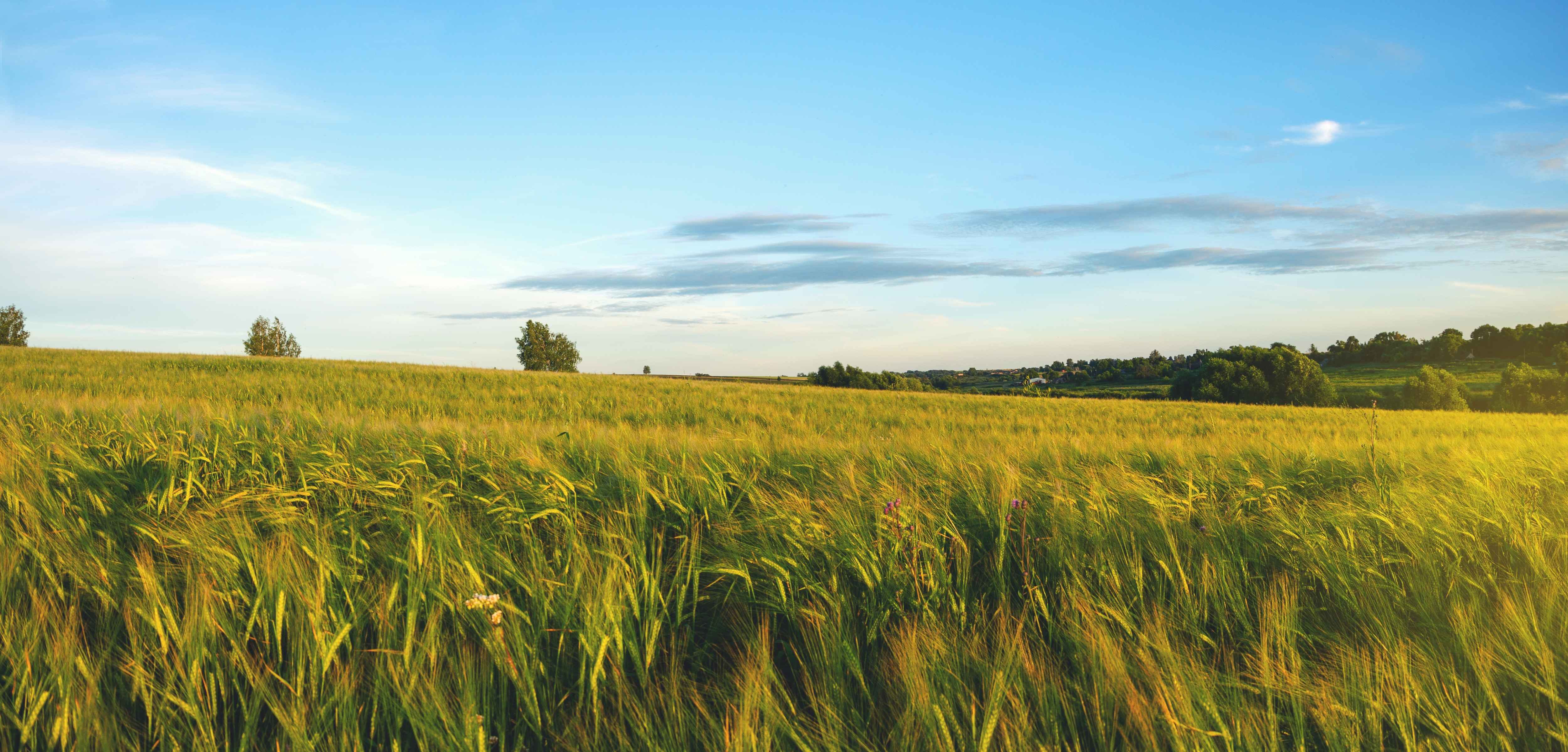 Benessere animale def